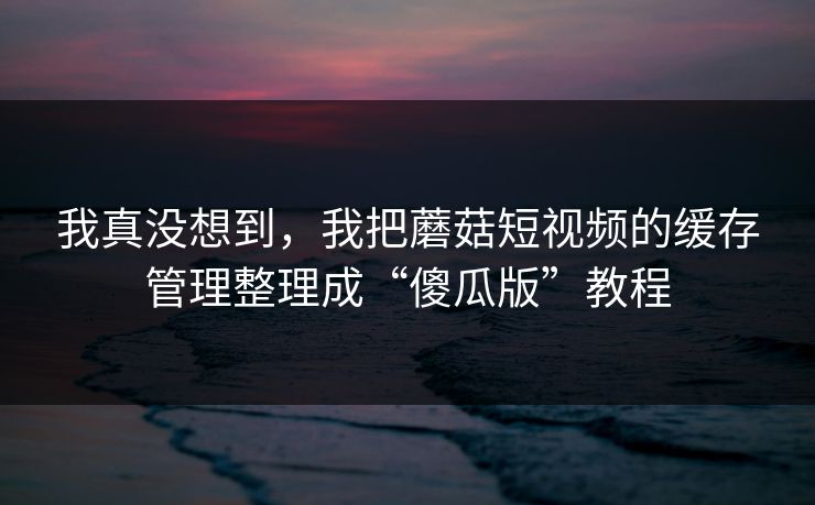 我真没想到，我把蘑菇短视频的缓存管理整理成“傻瓜版”教程